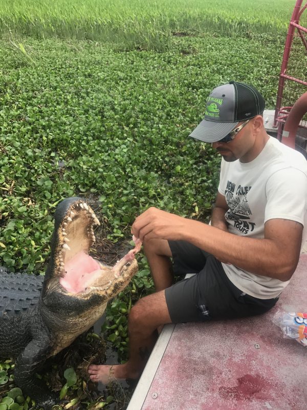 Gator showing his teeth