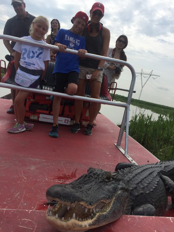 Gator wanting a ride