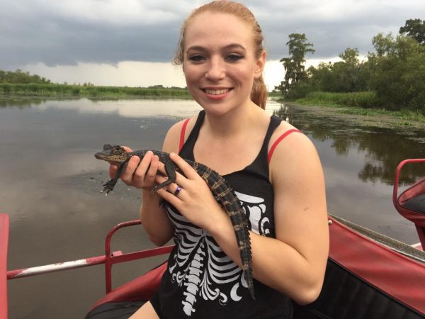 Baby Alligator