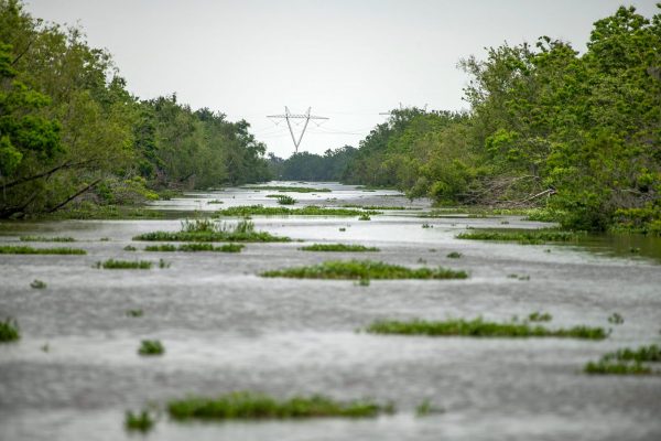 Bayou