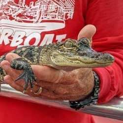 Capt'n Kody portrait